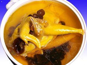 娱乐吃瓜酱鸡汤视频